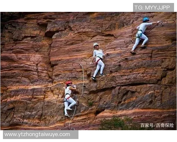 运动数据南京攀岩队耐力训练揭秘如何在攀岩中提升持久力与技巧