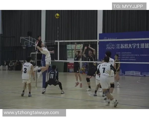 运动数据排球意识排行榜揭晓北京排球队荣获第三名展现强劲实力