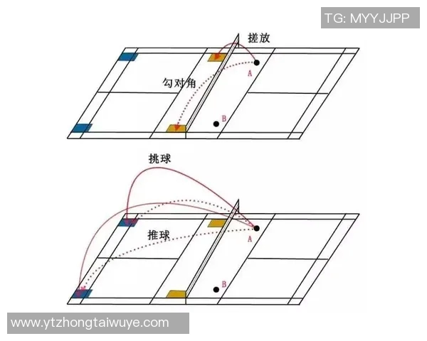 运动最新数据深入分析南京羽毛球队战术特点与比赛策略的探讨