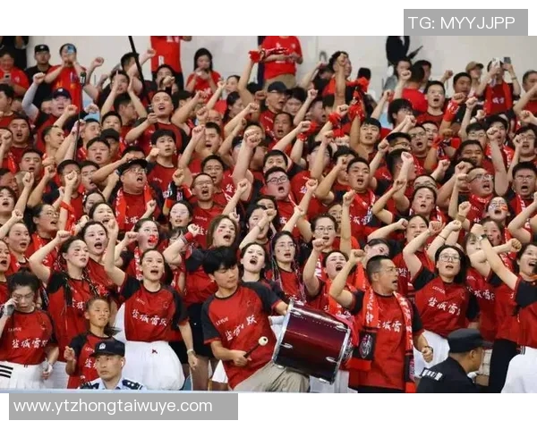 实时新闻南京排球队团队协作引发热议球迷对战术配合和默契度的看法各异