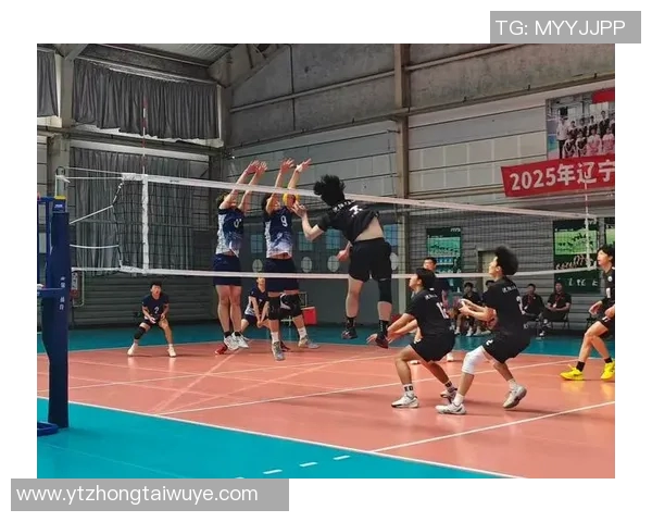 实时新闻排球精神力量深入分析广州排球队的心理素质与竞技表现